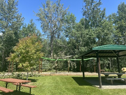 Fallen Tree update