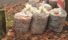 Spring Leaf Pickup